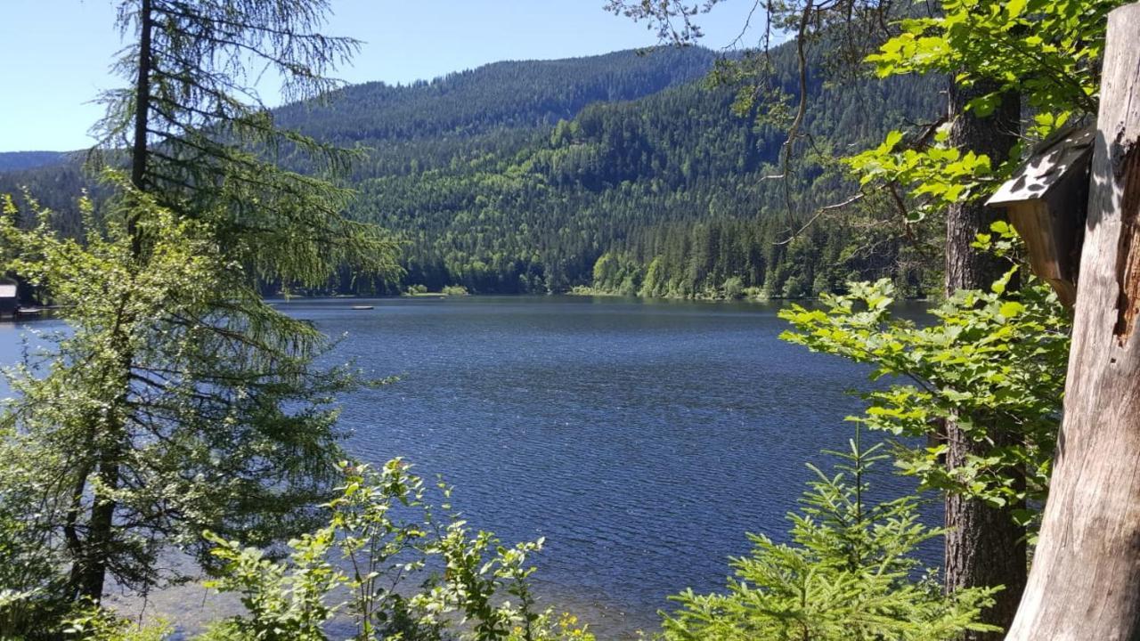 Ferienwohnung Grimmingblick - Auszeit Vom Alltag Obersdorf Εξωτερικό φωτογραφία